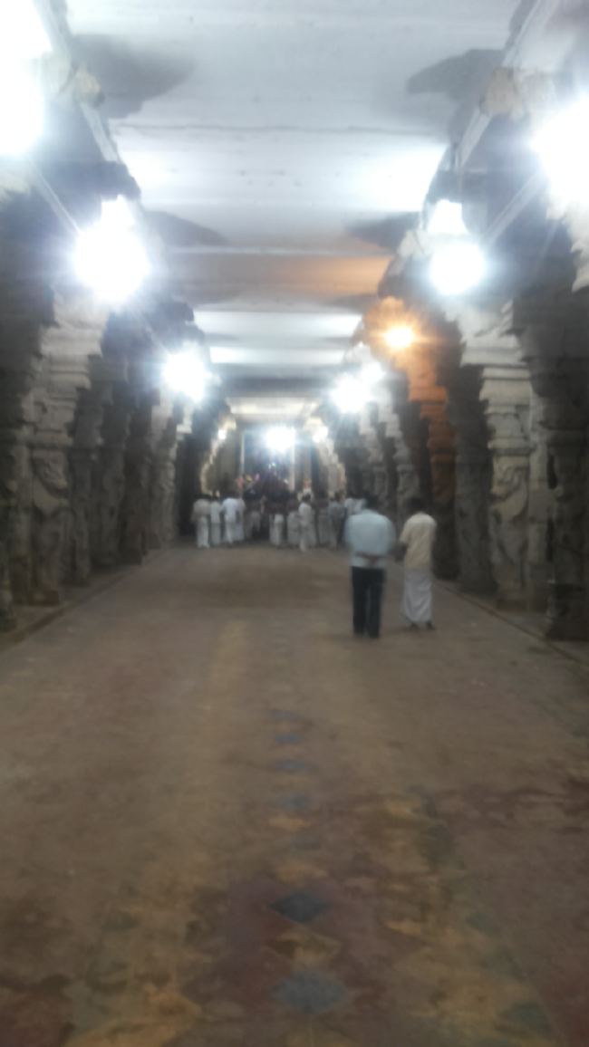 Mannargudi Sri Rajagopalaswami Temple Brahmotsavam day 5 2015 -19