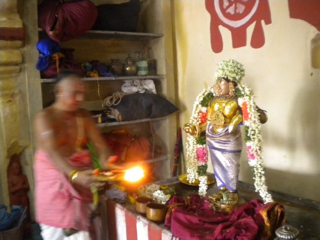 Mannargudi Sri Rajagopalaswami Temple bramotsavam day 3 Evening Purappadu  2015 -06