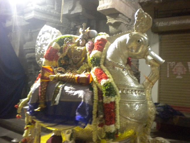 Mannargudi Sri Rajagopalaswami Temple bramotsavam day 3 Evening Purappadu  2015 -07
