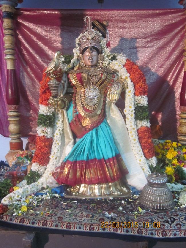 Mannargudi Sri Rajagopalaswami temple brahmotsavam day 13 2015 -01