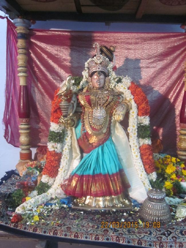 Mannargudi Sri Rajagopalaswami temple brahmotsavam day 13 2015 -02