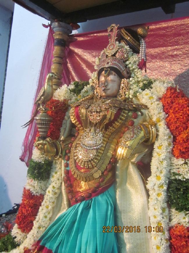 Mannargudi Sri Rajagopalaswami temple brahmotsavam day 13 2015 -04