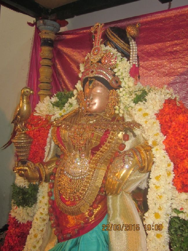 Mannargudi Sri Rajagopalaswami temple brahmotsavam day 13 2015 -05