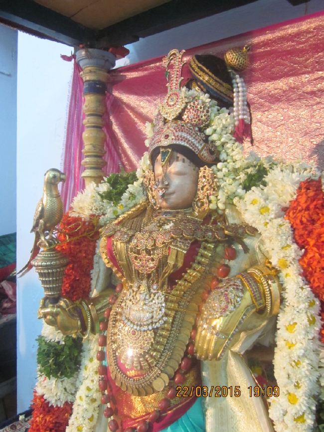 Mannargudi Sri Rajagopalaswami temple brahmotsavam day 13 2015 -06