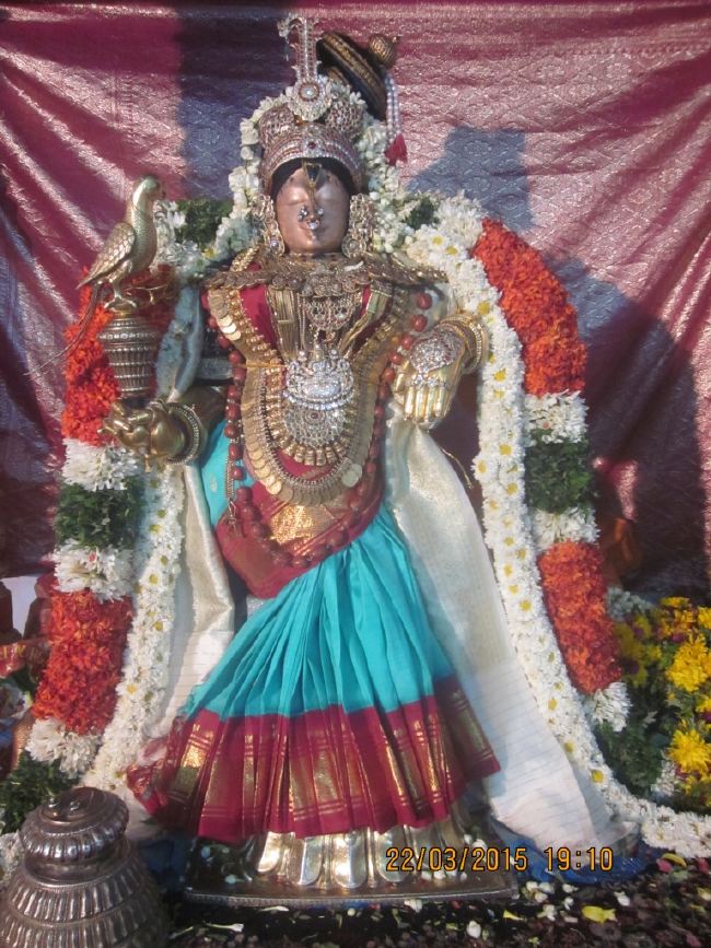 Mannargudi Sri Rajagopalaswami temple brahmotsavam day 13 2015 -08