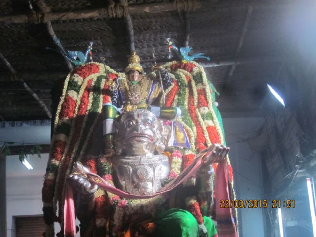 Mannargudi Sri Rajagopalaswami temple brahmotsavam day 13 2015 -13