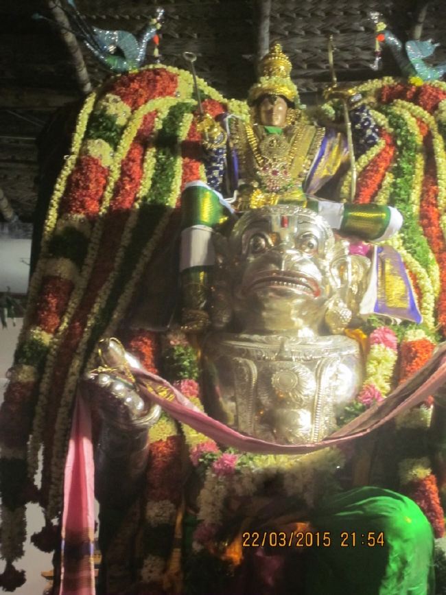 Mannargudi Sri Rajagopalaswami temple brahmotsavam day 13 2015 -18