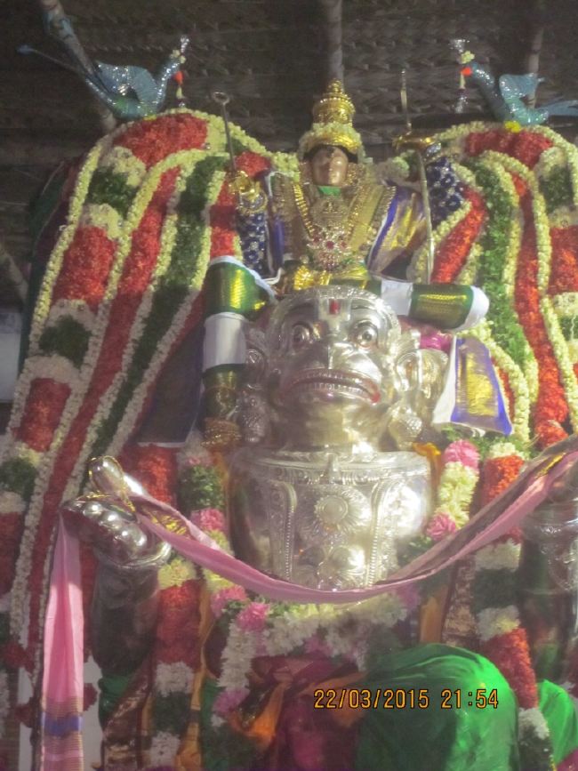 Mannargudi Sri Rajagopalaswami temple brahmotsavam day 13 2015 -19