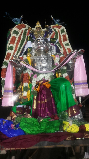 Mannargudi Sri Rajagopalaswami temple brahmotsavam day 13 morning 2015 -19