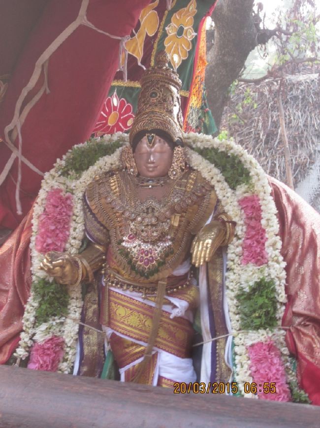 Mannarugdi Sri Rajagopalswami Temple Brahmotsavam day 11 2015 -02