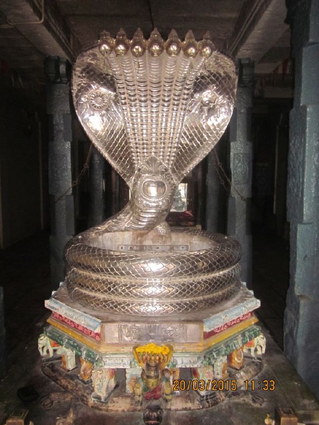 Mannarugdi Sri Rajagopalswami Temple Brahmotsavam day 11 2015 -27