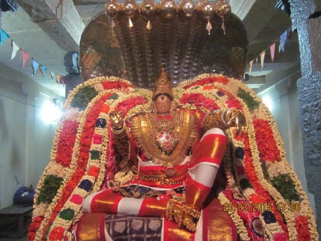 Mannarugdi Sri Rajagopalswami Temple Brahmotsavam day 11 2015 -31