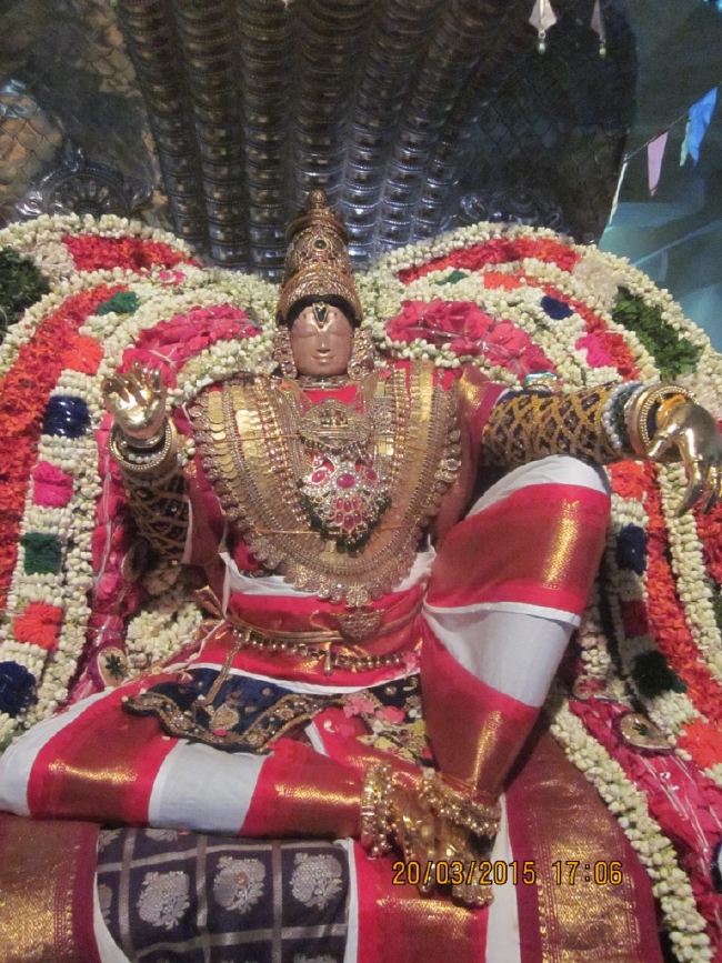 Mannarugdi Sri Rajagopalswami Temple Brahmotsavam day 11 2015 -32