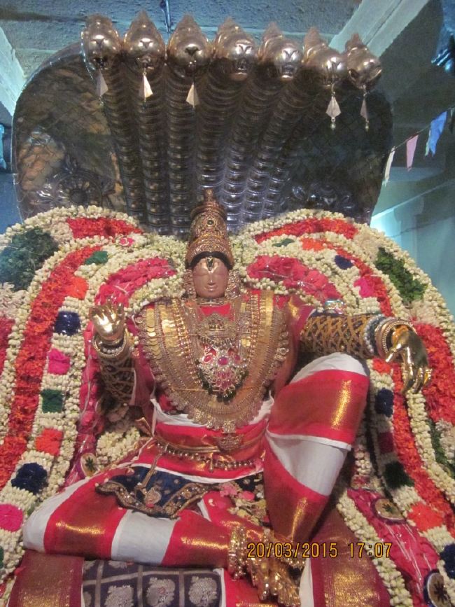 Mannarugdi Sri Rajagopalswami Temple Brahmotsavam day 11 2015 -33
