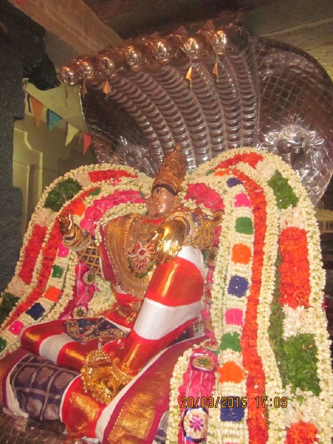 Mannarugdi Sri Rajagopalswami Temple Brahmotsavam day 11 2015 -39