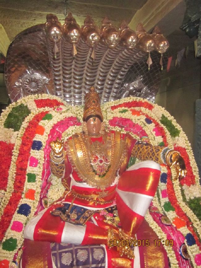 Mannarugdi Sri Rajagopalswami Temple Brahmotsavam day 11 2015 -40