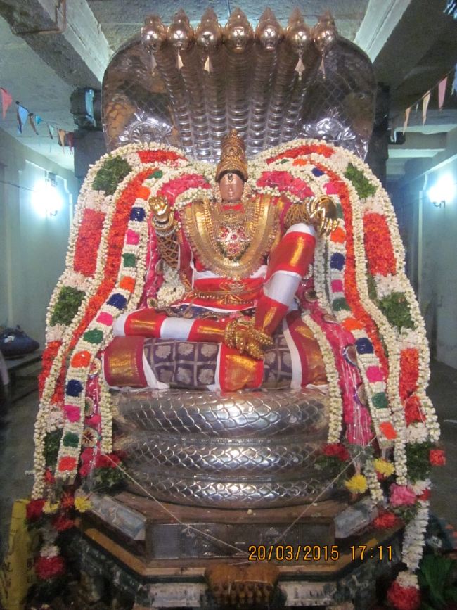 Mannarugdi Sri Rajagopalswami Temple Brahmotsavam day 11 2015 -43