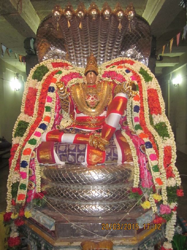 Mannarugdi Sri Rajagopalswami Temple Brahmotsavam day 11 2015 -44