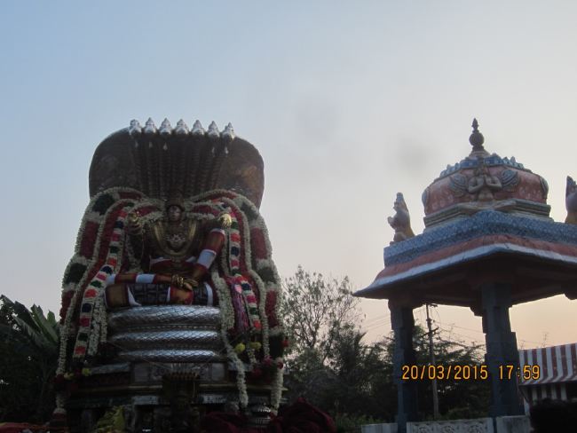 Mannarugdi Sri Rajagopalswami Temple Brahmotsavam day 11 2015 -50