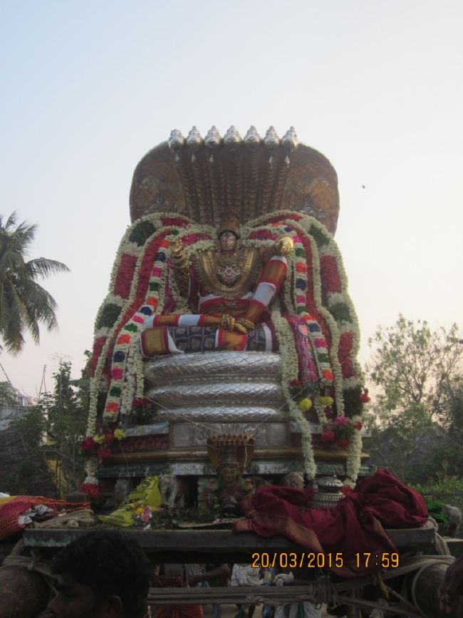 Mannarugdi Sri Rajagopalswami Temple Brahmotsavam day 11 2015 -51