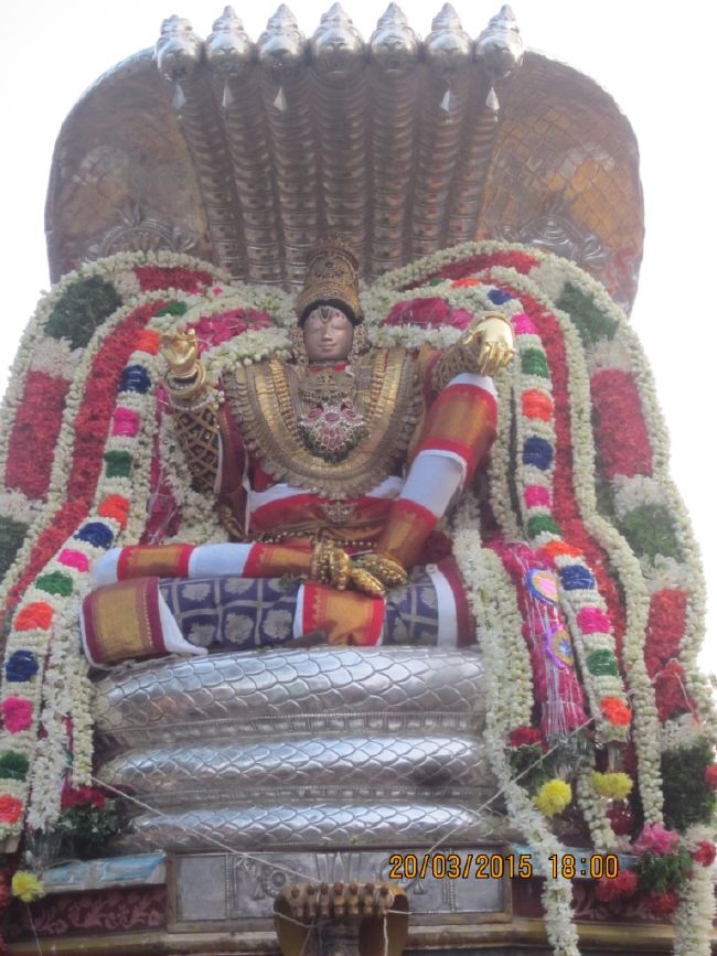 Mannarugdi Sri Rajagopalswami Temple Brahmotsavam day 11 2015 -52