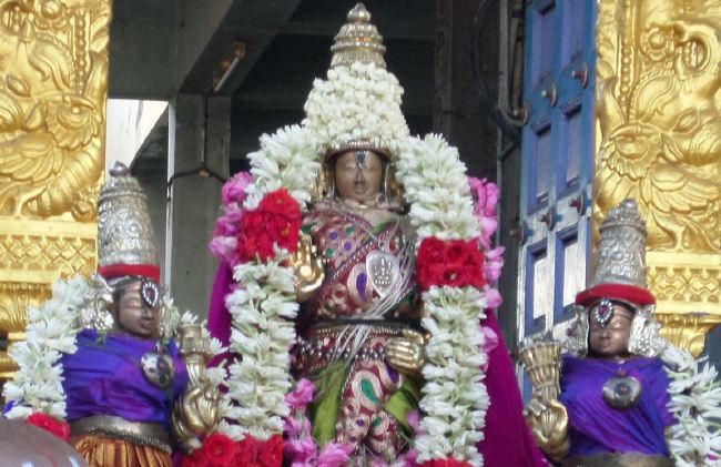 Mylai Sri Adhikesava Perumal Temple Ekadasi Purappadu 2015 -4