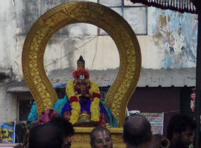 Mylai Sri adhikesava perumal kovil Manakal Nambi & Thirumalai Aandan Thirunakshatra Utsavam 2015 -5
