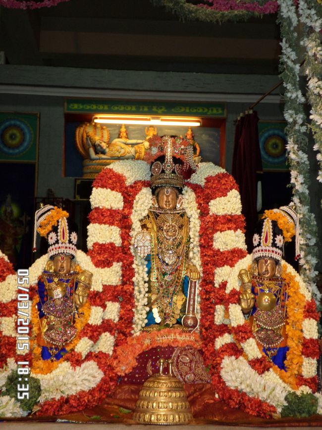 Mylai Svdd Srinivasa Perumal Temple Dhavanotsavam 2015 -04