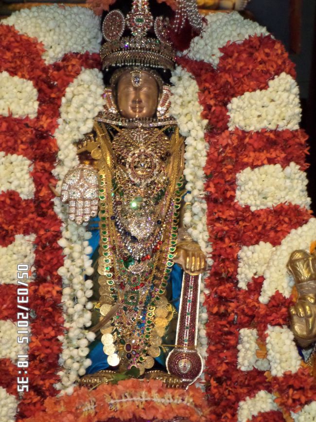 Mylai Svdd Srinivasa Perumal Temple Dhavanotsavam 2015 -10