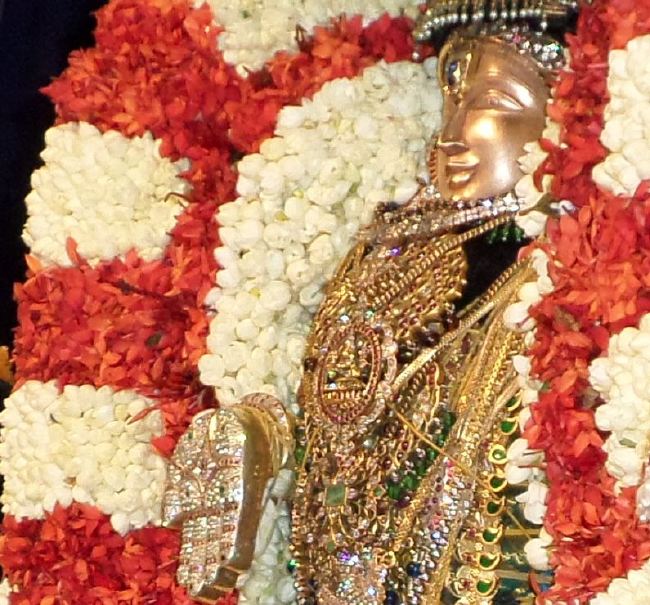 Mylai Svdd Srinivasa Perumal Temple Dhavanotsavam 2015 -16