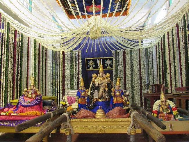 Mylapore SVDD Srinivasa Perumal Temple Annakoota Utsavam11