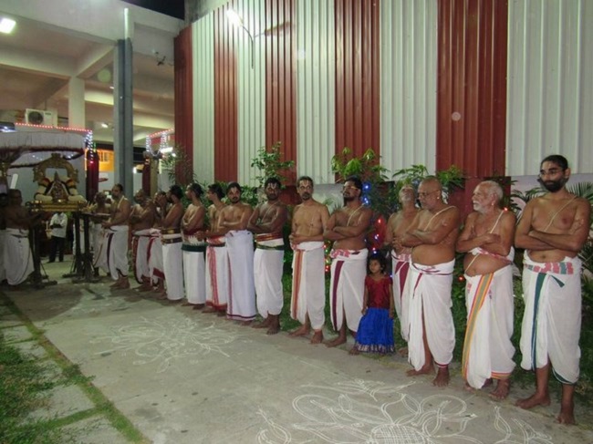 Mylapore SVDD Srinivasa Perumal Temple Annakoota Utsavam1