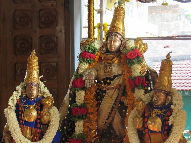 Mylapore SVDD Srinivasa Perumal Temple Annakoota Utsavam12