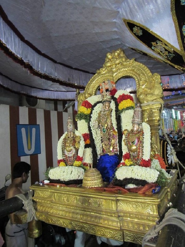 Mylapore SVDD Srinivasa Perumal Temple Annakoota Utsavam13