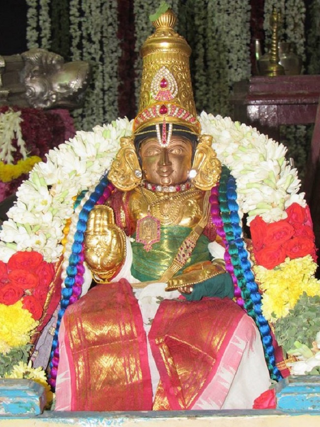 Mylapore SVDD Srinivasa Perumal Temple Annakoota Utsavam15