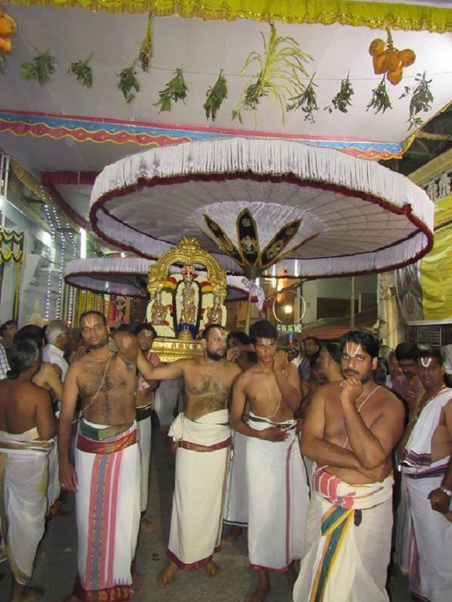 Mylapore SVDD Srinivasa Perumal Temple Annakoota Utsavam16