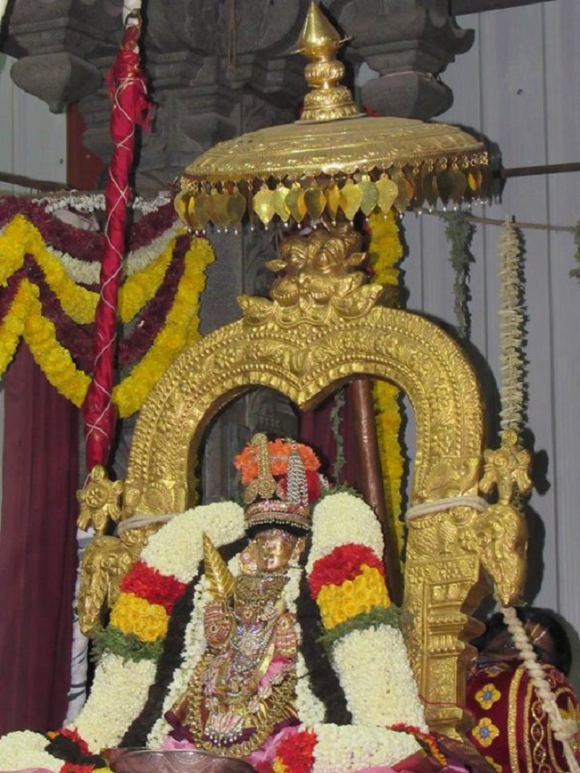Mylapore SVDD Srinivasa Perumal Temple Annakoota Utsavam19