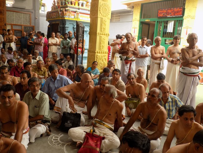Mylapore SVDD Srinivasa Perumal Temple Annakoota Utsavam20