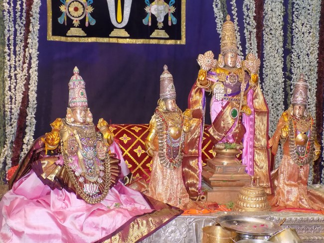 Mylapore SVDD Srinivasa Perumal Temple Annakoota Utsavam2