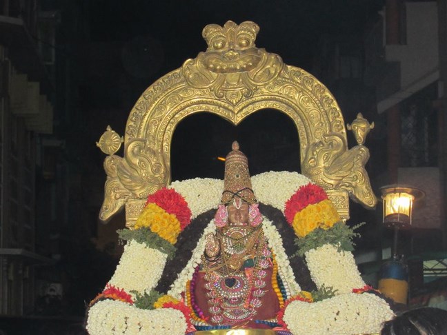 Mylapore SVDD Srinivasa Perumal Temple Annakoota Utsavam23