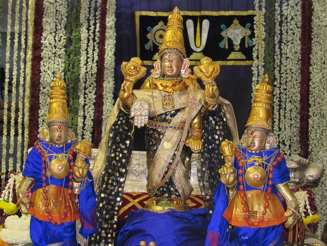 Mylapore SVDD Srinivasa Perumal Temple Annakoota Utsavam24