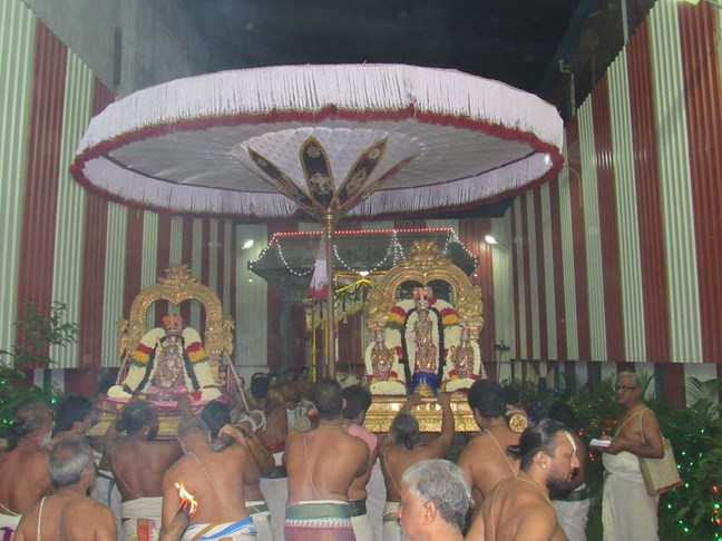 Mylapore SVDD Srinivasa Perumal Temple Annakoota Utsavam27
