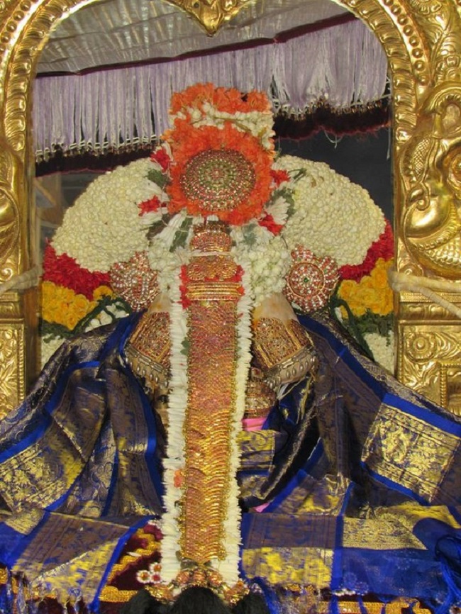 Mylapore SVDD Srinivasa Perumal Temple Annakoota Utsavam29
