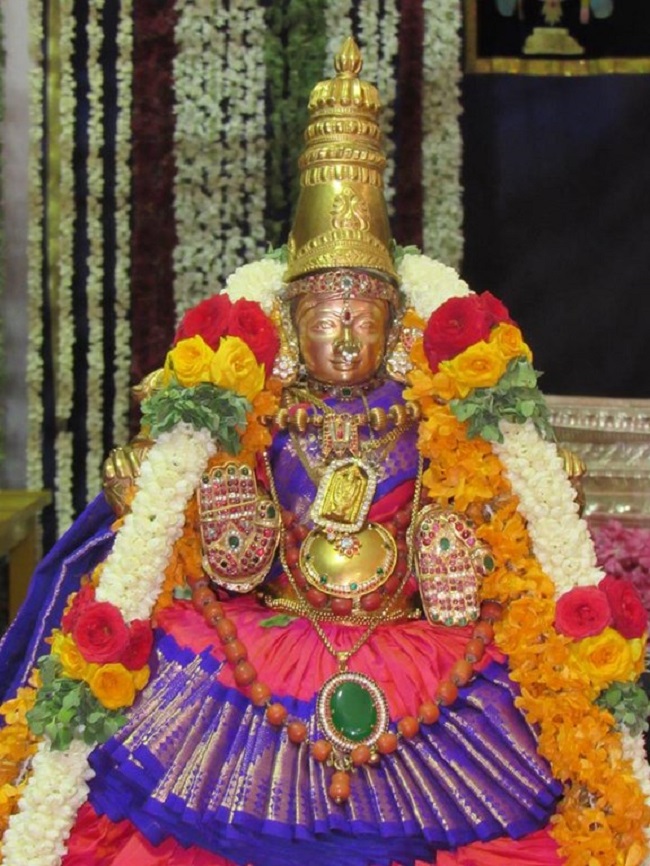 Mylapore SVDD Srinivasa Perumal Temple Annakoota Utsavam3