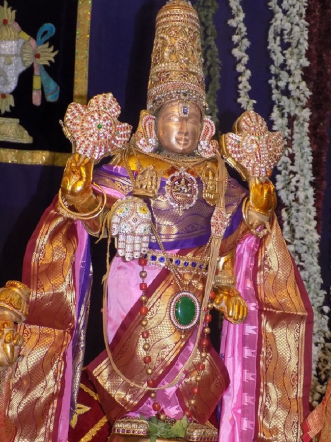 Mylapore SVDD Srinivasa Perumal Temple Annakoota Utsavam4