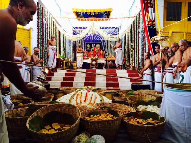 Mylapore SVDD Srinivasa Perumal Temple Annakoota Utsavam6