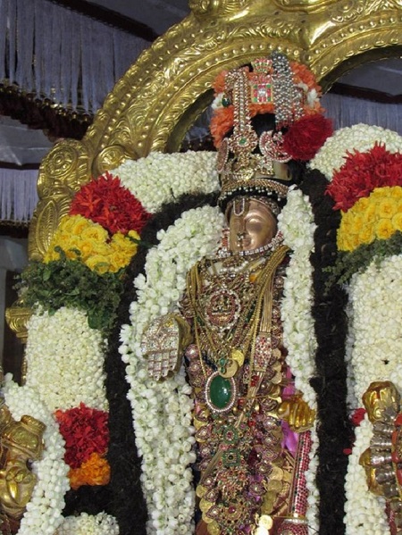 Mylapore SVDD Srinivasa Perumal Temple Annakoota Utsavam6