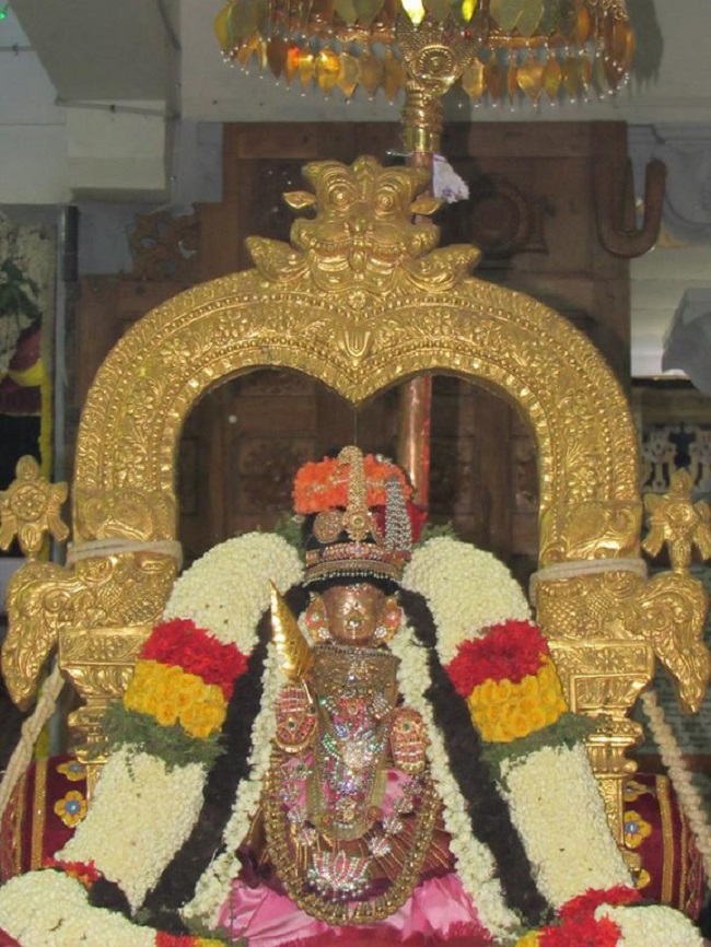 Mylapore SVDD Srinivasa Perumal Temple Annakoota Utsavam7