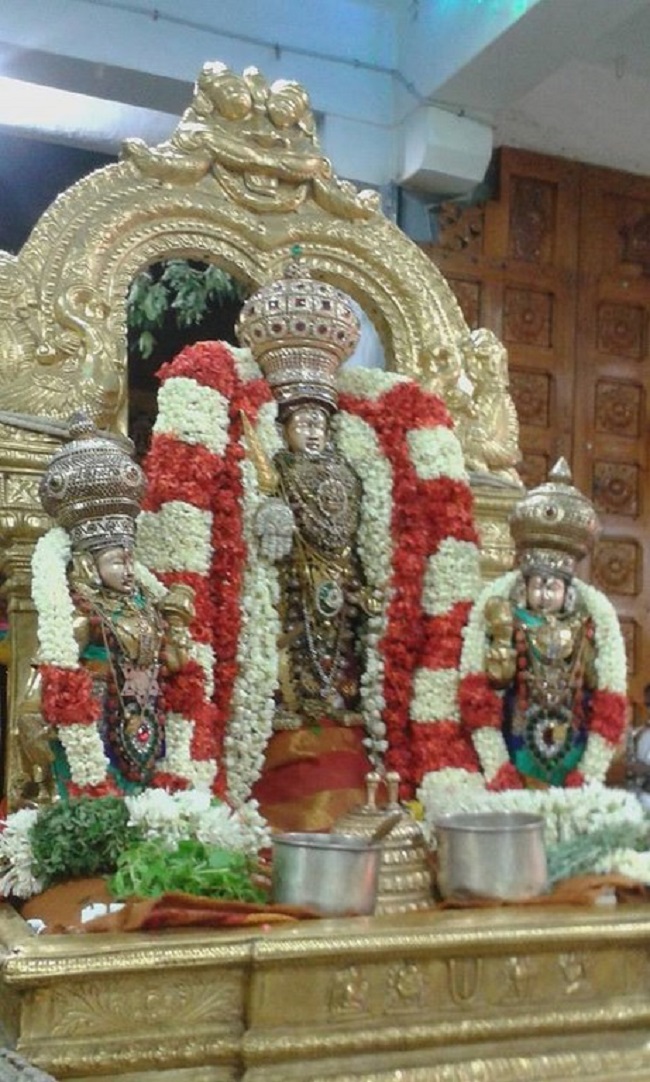 Mylapore SVDD Srinivasa Perumal Temple Ugadi Purappadu10