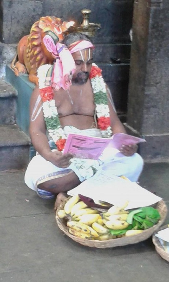 Mylapore SVDD Srinivasa Perumal Temple Ugadi Purappadu11